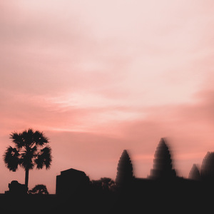 91在线无码精品青鱼视屏
